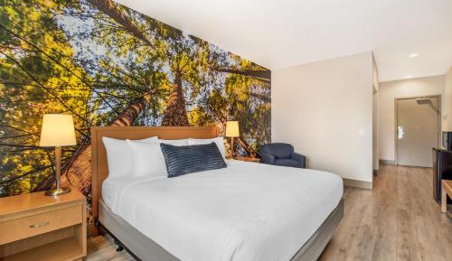 King Room with Tub - Disability Access/Non Smoking