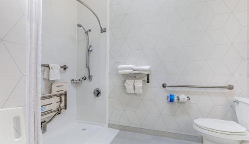 King Suite with Roll-In Shower - Accessible/Non-Smoking