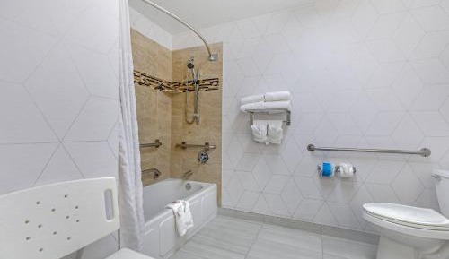 King Room - Accessible/Non-Smoking (No Pets Allowed)