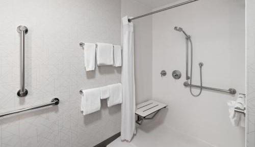 Suite - Mobility Access Roll in Shower/Non-Smoking