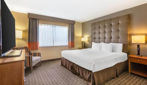 One-Bedroom King Suite