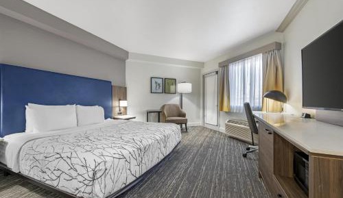 King Room with Walk-In Shower and Patio - Disability Access/Non-Smoking