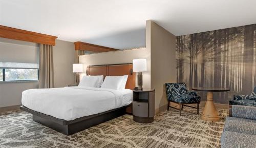 King Suite with Two Sofa Beds - Non-Smoking