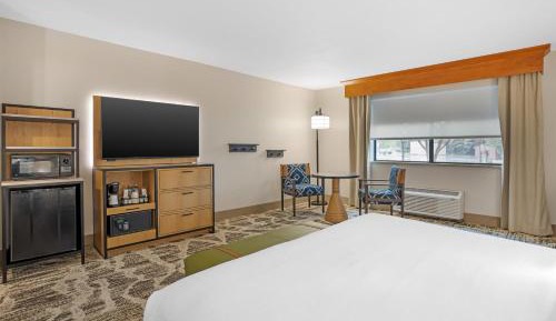 King Room with Roll-In Shower - Disability Access