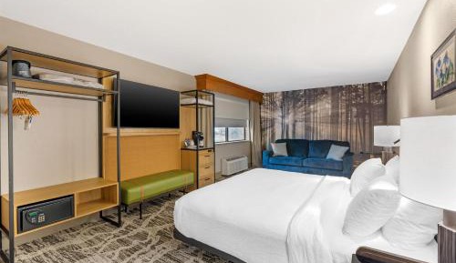 King Suite with Two Sofa Beds and Roll-In Shower - Disability Access/Non-Smoking