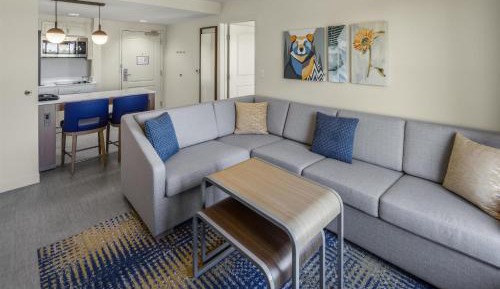 One-Bedroom King Suite