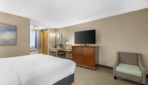 King Room with Sofa Bed - Poolside/First Floor/Non-Smoking