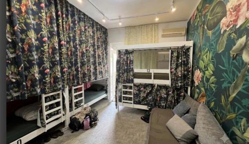 Bunk Bed in Mixed Dormitory Room