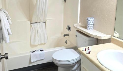 1 Bedroom Apartment with Kitchen