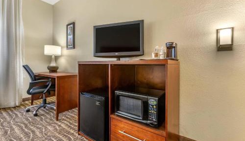 Standard King Room with Roll-in Shower - Accessible/Non-Smoking