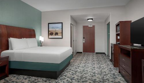 King Room with Sofa Bed