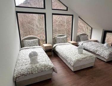 Triple Room with Shared Bathroom