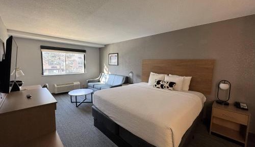 King Room with Sofa - Non Smoking