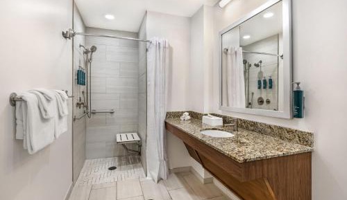 One-Bedroom King Suite with Roll-In Shower
