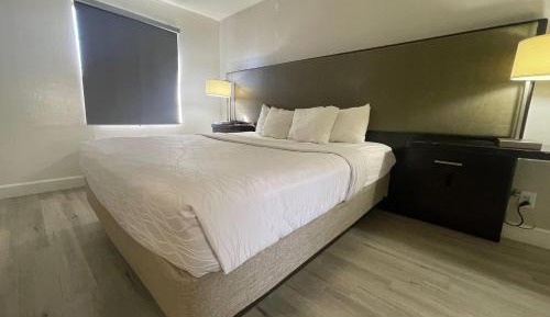 One-Bedroom King Suite - Non-Smoking