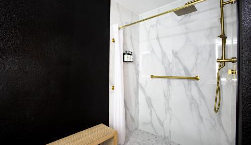 King Wellness Suite with Roll in shower - Accessible/Non-Smoking