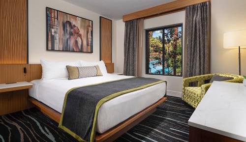 Junior Suite with Sofa Bed