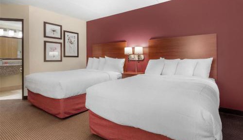 Queen Room with Two Queen Beds