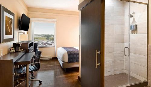 Eco-ficient Queen Room