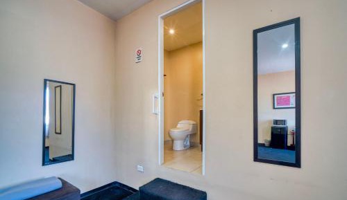 Standard Suite