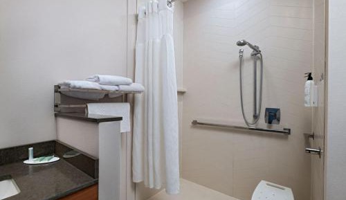 King Room with Roll-in Shower - Mobility Accessible