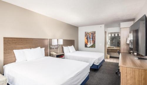 Basic Double or Twin Room