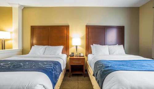 Queen Suite with Two Queen Beds