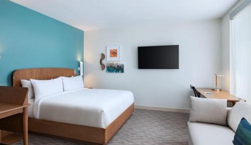 Queen Studio with Sofa Bed and Roll-in Shower - Mobility Accessible