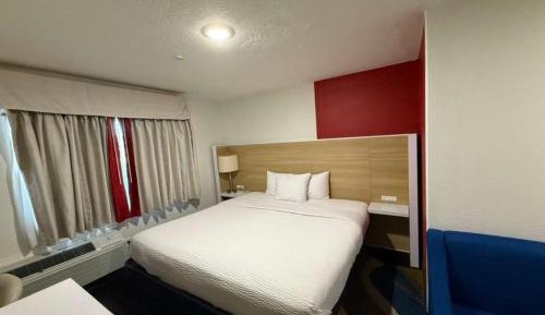 King Room with Roll-In Shower - Mobility Accessible/Pet-Friendly/Non-Smoking
