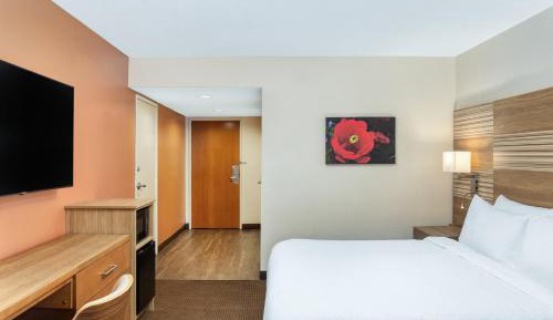 King Room with Roll-In Shower - Disability Access