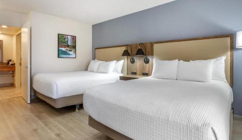 Queen Room with Two Queen Beds - Pet Friendly/Non-Smoking