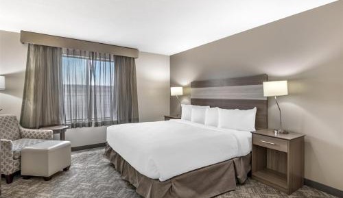 King Room with Roll-In Shower - Disability Access