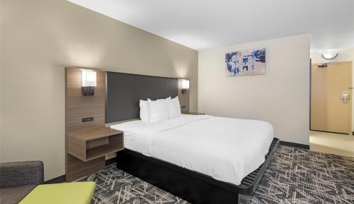 King Room - Pet Friendly/Non-Smoking