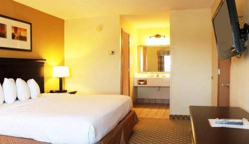 One-Bedroom King Suite with Sofa Bed - Disability Access