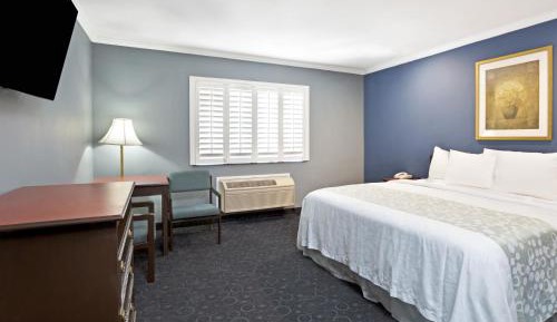 King Room - Pet Friendly/Non-Smoking