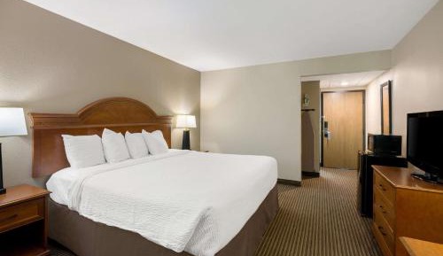 King Room with Roll-In Shower - Disability Access
