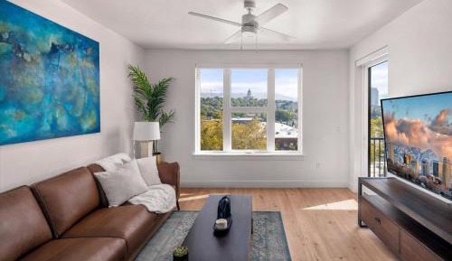 Deluxe One-Bedroom Apartment