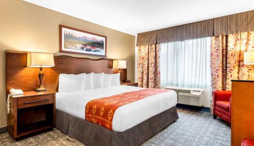 King Suite with Sofa Bed