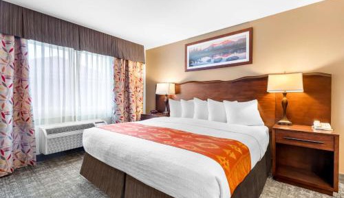 King Room with Roll-in Shower - Disability Access/Non-Smoking