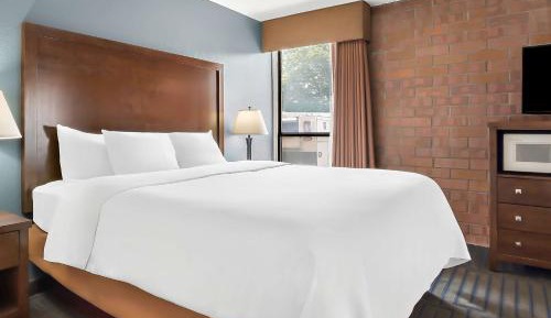 King Suite with Sofa Bed