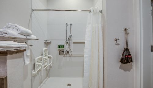 Suite - Mobility Access Roll in Shower/Non-Smoking