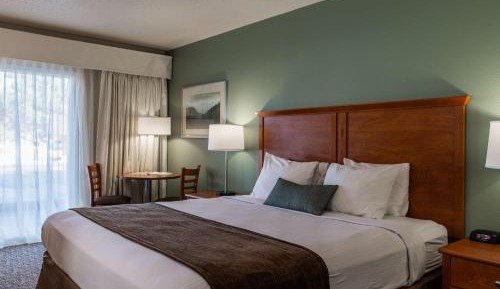King Room - Pet Friendly/Non-Smoking