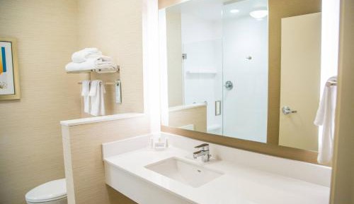 King Suite with Transfer Shower and Sofa Bed - Mobility Access/Hearing Accessible