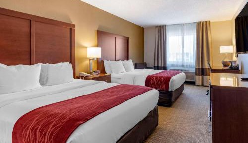 Queen Room with Two Queen Beds - Non-Smoking