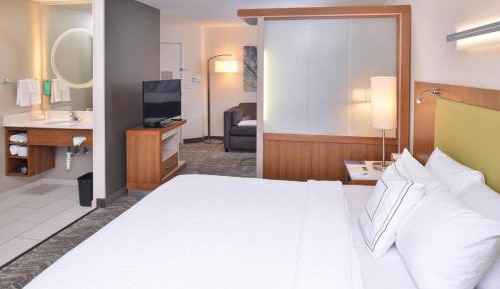 King Suite with Bathtub and Sofa Bed - Mobility Access/Hearing Accessible