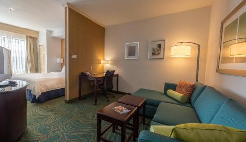 King Suite with Bathtub and Trundle Sofa - Mobility Access/Hearing Accessible