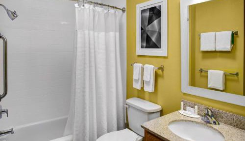 Queen Studio with Sofa Bed and Roll-in Shower - Mobility and Hearing Accessible