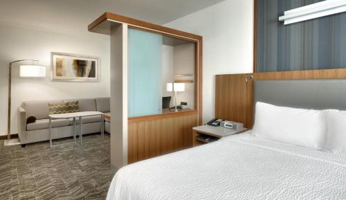King Suite with Sofa Bed