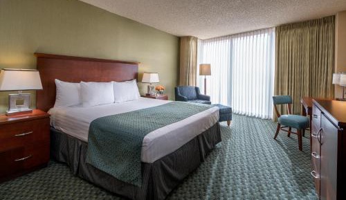 Luxury Guest Room - 1 King Bed