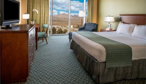 Panorama Room - 1 King Bed